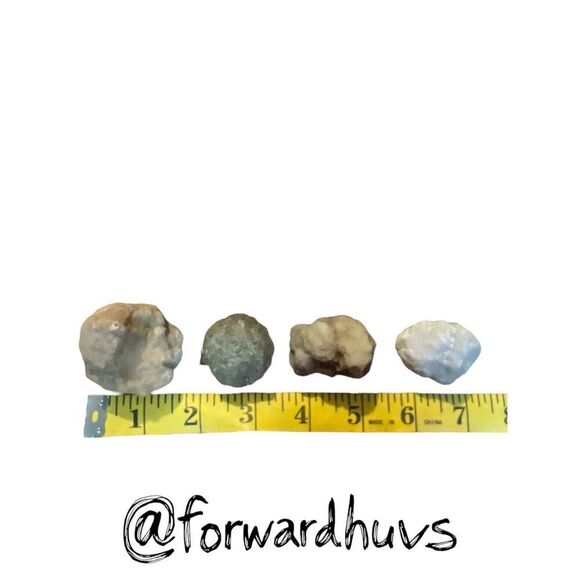 (4) Small Raw Tennessee Creek Geode - Break them Yourself - Picture 5 of 6